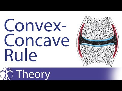 Kaltenborn Concave-Convex Rule