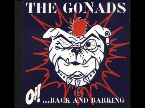 The Gonads - Alconaut (live)