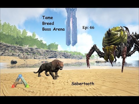 Ark How to Tame, Breed, Boss Arena Gamma Broodmother : Ep 46 : Sabertooth