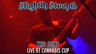 This Joint - Slightly Stoopid (Live at Cannabis Cup)