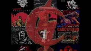 Cancerslug, Mistress Death