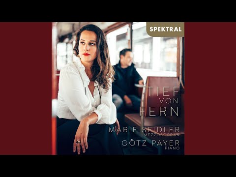 Im Volkston op. 73: Ach, neni neni tu