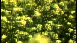 Download lagu MEGGY Z - HATI YANG LUKA.flv mp3