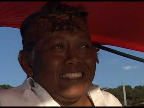 Boom Festival 2006 We Are One (Official Portugal)