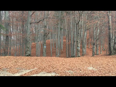 review traseu Predeal - Cab Trei Brazi - Cab Poiana Secuilor - Cheile Rasnoavei - Rasnov