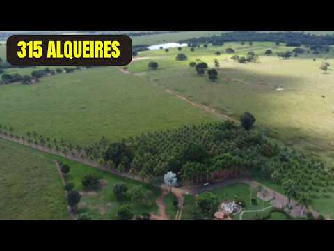 Fazenda a Venda com 315 alqueires No Município de São Miguel do Araguaia - GO