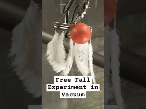 Why All Objects Fall at the Same Speed in a Vacuum: The Truth About Gravity