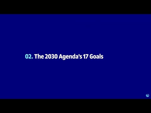 The 2030 Agenda's 17 Goals 