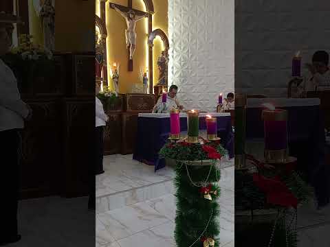 SANTA MISSA 🌐 PROGRAMA TVSL FÉ.