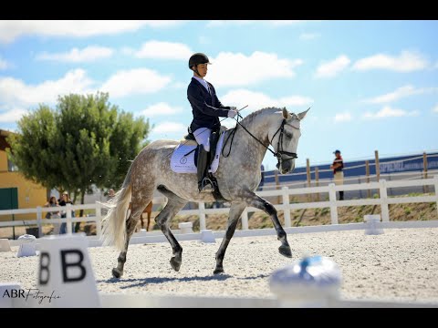 João Torrão & Lufada MVL - FEI 5YO Final - 2020-06-21 CDN Sintra