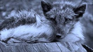 Matthew West All the Broken Pieces Inspirational