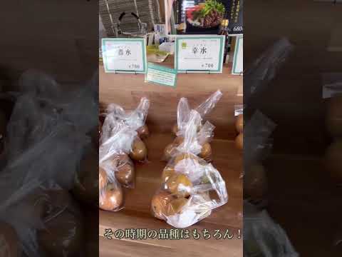 千葉県八千代市の梨が旅立つまで 後編