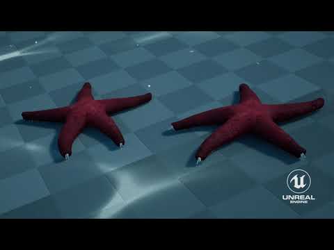 Red Star Fish 3D Animation