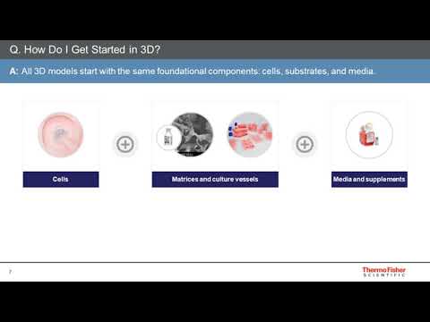 Getting started in 3D: Ask an Expert