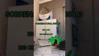 SOBRENATURAL 000083 (BIG C 478 X BIGCESINHA 257) - CRIATÓRIO PRORROGAÇ