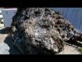 9/11 Incontrovertible Proof the Government is Lying.