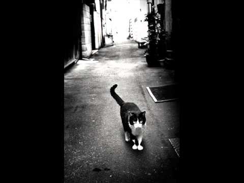 Back Alley Cat