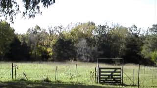 don&#39;t let the sunshine fool ya