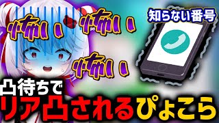 【身バレ】凸待ちしてたら知らない番号からリアル電話がかかってきたぴょこら【深層組切り抜き / 飛出ぴょこら】