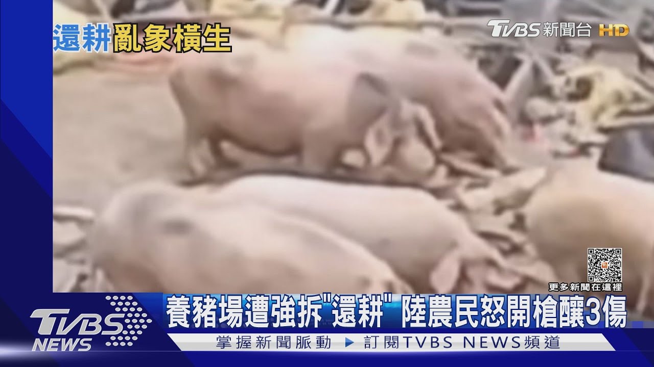 養豬場遭強拆「還耕」 陸農民怒開槍釀3傷