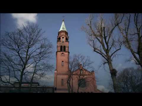 Homilia Ks. Carlosa 3.07.2016 - XIV NIEDZIELA ZWYKŁA C