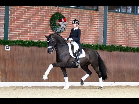 Millennium (Easy Game/E.H. Ravel/E.H. Consul)