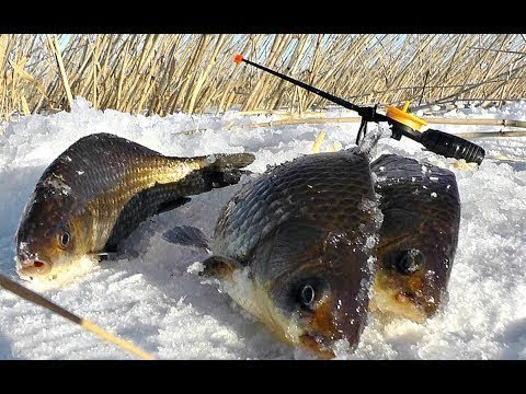 Как сделать устройство которое подсекает рыбу на зимней рыбалке