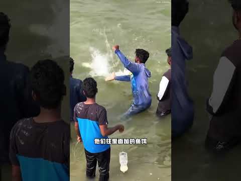 用空瓶子也能钓鱼！ #涨知识 #科普 #钓鱼 #瓶钓