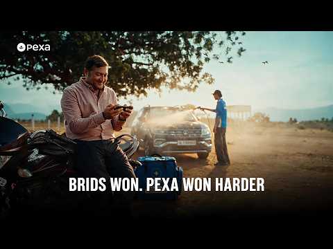 Pexa service video