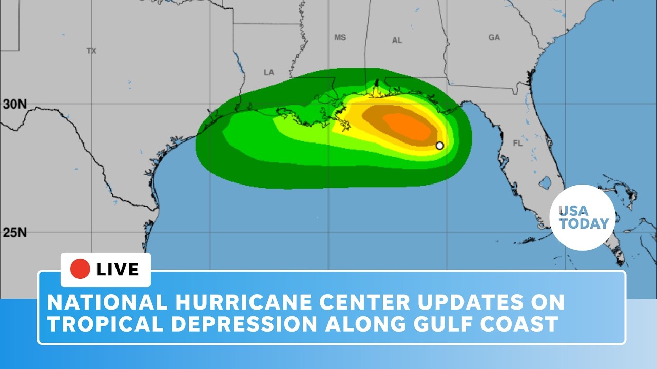 Live: National Hurricane Center update on tropical depression along Gulf Coast off Florida