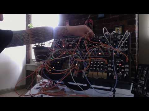 Rythms with Pico Drums and 2hp Freez