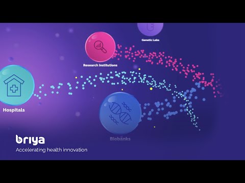 Briya Healthcare Data Retrieval - How it works logo