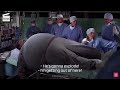 The Nutty Professor S Fat Inflation Scene Sped Up