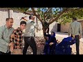 Qasim And Shahrbanoo S Big Fight Over Armin S Help When Guests Arrive In The Middle Of A War