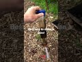 Best Way To Clean A Perc Bong Howto