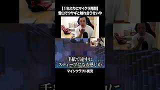 【１年ぶりにマイクラ再開】雪山でウサギと触れ合うせいや【マインクラフト】#イニミニ切り抜き