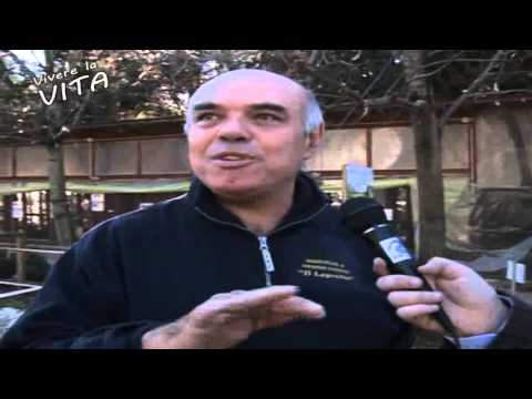 VIVERE LA VITA    FATTORIA DIDATTICA IL LEPROTTO