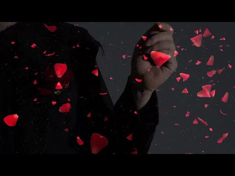 Video thumbnail for You’ll Never Find Another Love Like Mine