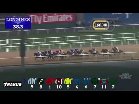 05.02.2015 Meydan (Dubai/UAE) 6.Race Al Maktoum Challenge R2 - Group II  1.900 m