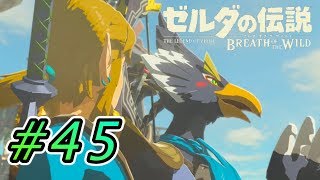 いやキレてねぇーし！  #45【ゼルダの伝説ブレスオブザワイルド実況】