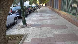 Avenida de la Palmilla