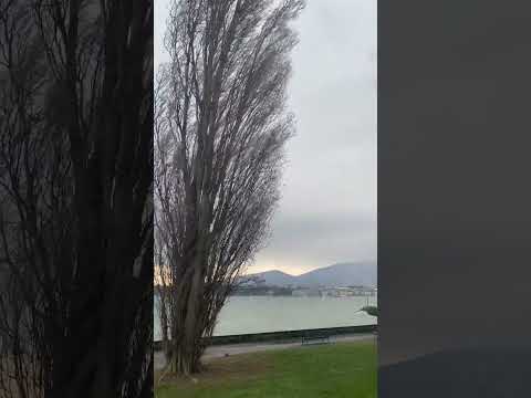 A very windy day at Lake Geneva! 🌬️ #shorts #windy #shortsfeed
