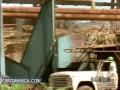 Sugarcane Harvesting