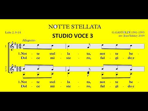 Notte Stellata, G. Gastoldi studio voce 3