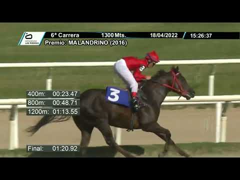 220418 c06 - SMART BEAUTY - HIPODROMO LAS PIEDRAS