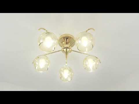 Превью видео