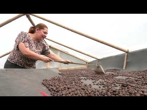 #EnlaceTrece | Café Topaipí