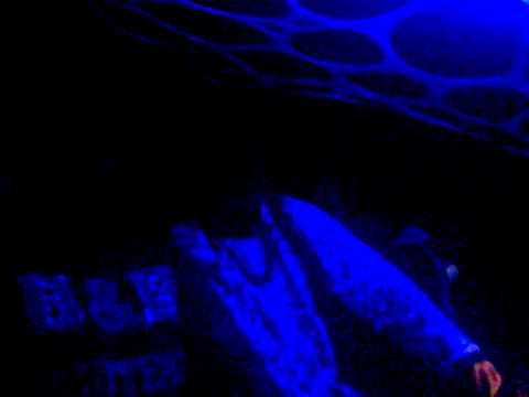 D.N.I Birthday Party V2