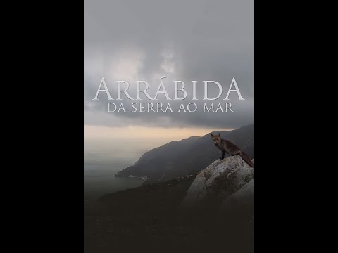 Arrabida da Serra ao Mar - 4K {EN & PT captions}