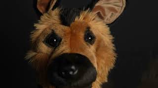 German Shepard Driver Headcover